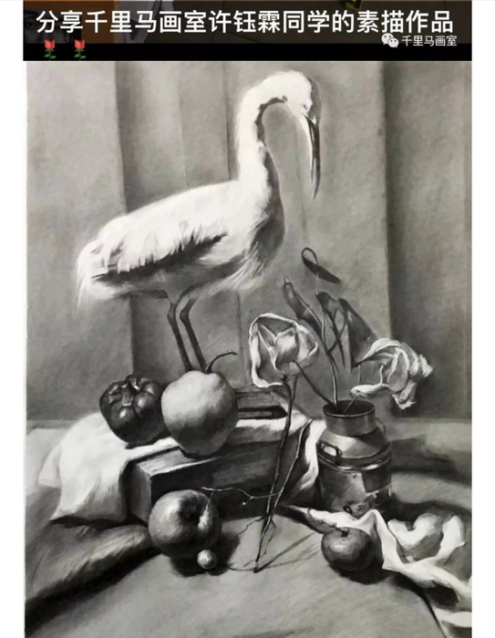 余洁同学素描作品